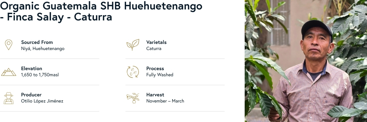 Organic Guatemala SHB Huehuetenango - Finca Salay - Caturra Product Info