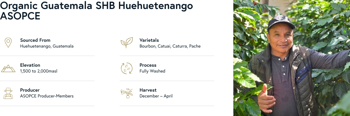Organic Guatemala SHB Huehuetenango ASOPCE Coffee Details