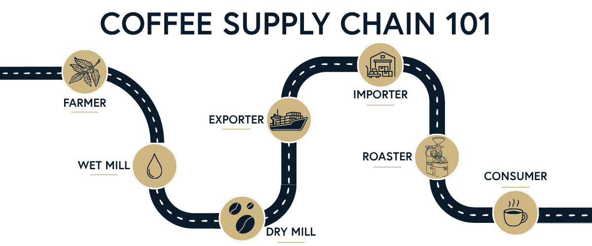coffee supply chain 101