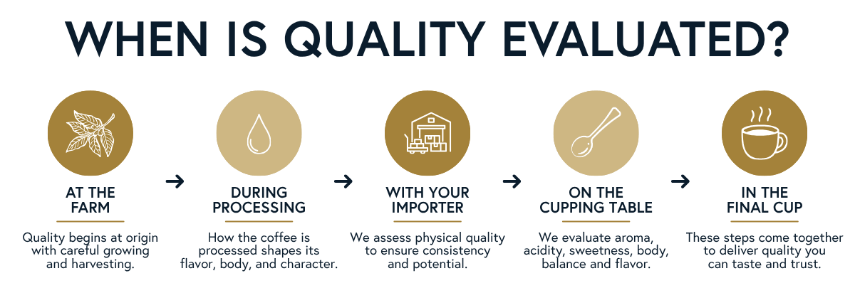 A graphic explaining how coffee quality is evaluated at each step of the supply chain.