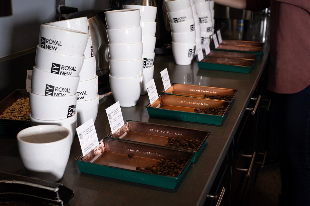 Setting up a specialty coffee cupping when buying green coffee.
