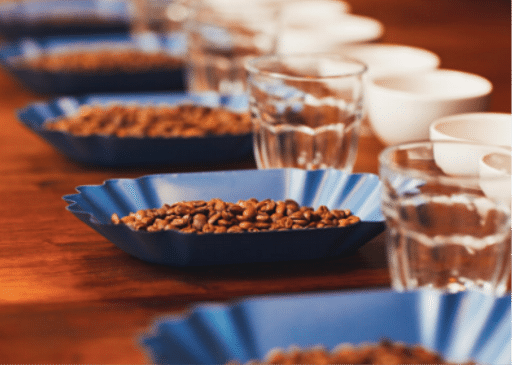 The Lab Coffee Course